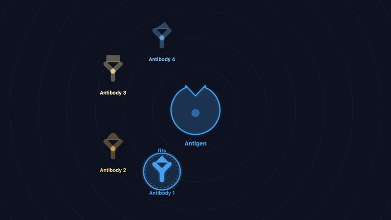 Antigen & antibody