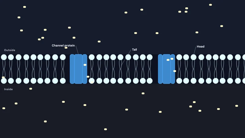 Biological membranes