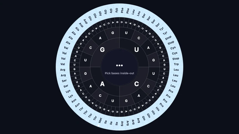 Genetic code wheel