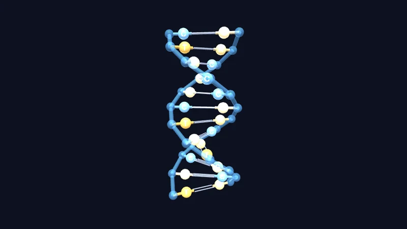DNA-Doppelhelix 3D