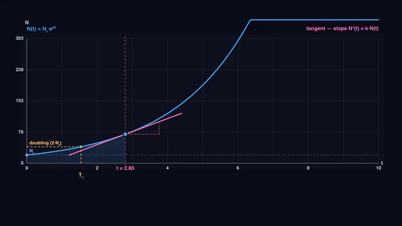 Exponentielles Wachstum & Zerfall