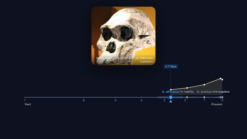 Human evolutionary history