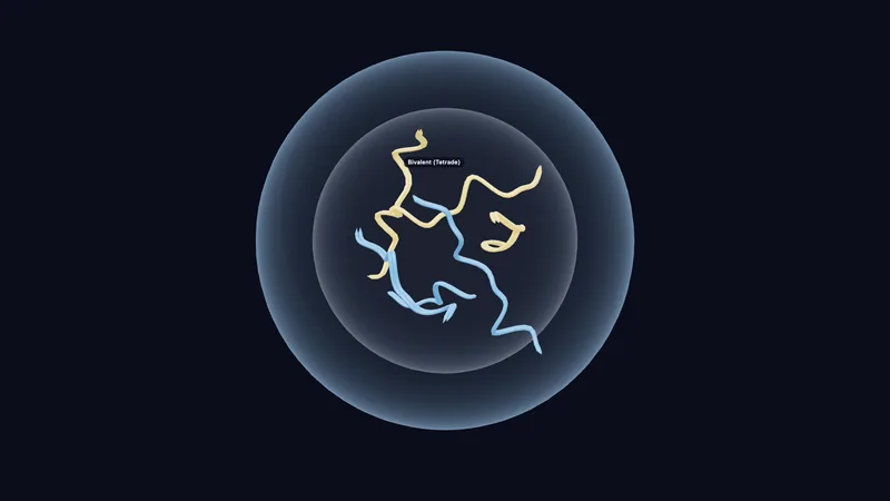 Meiosis