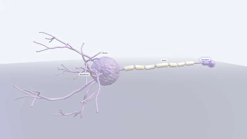 VisuApp „Nervenzelle (3D)" — Vorschau