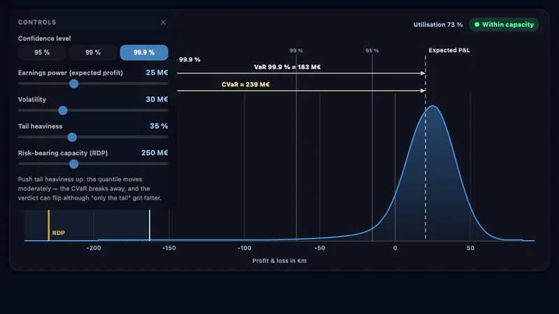 Risk-bearing capacity: loss distribution
